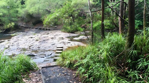 Minyon falls walking track (13km)