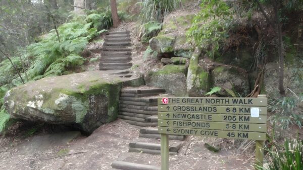 Thornleigh to galston gorge hike (15. 5km)