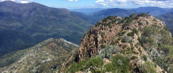 Mount Buller Traverse Hike (20km) Trail hiking eagle peaks and eight mile gap 600x254