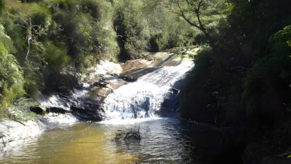 Wentworth Falls Station Loop Walk (8.9km) Wentworth falls station loop walk (8. 9km)