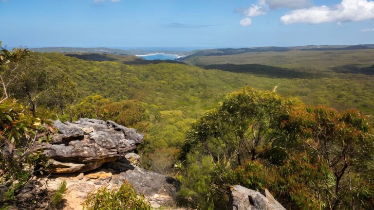 Willunga trig walking track (1. 5km)