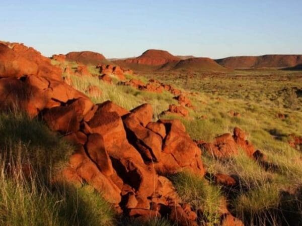 Gorge Rim Walk (2km) Camel trail 600x450