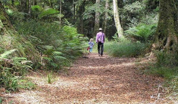 Cascades walking track trail hiking australia 600x352