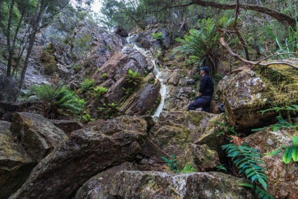 The Nut Circuit Walk (2.9km) Doone falls 600x400