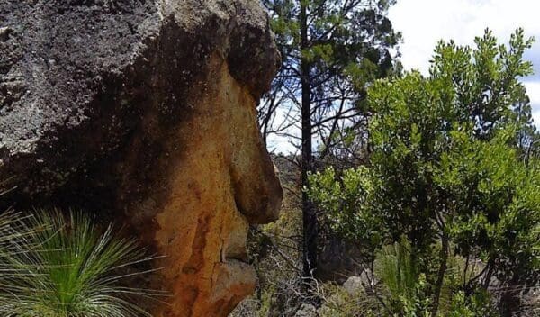 Mystery face walking track trail hiking australia 600x352