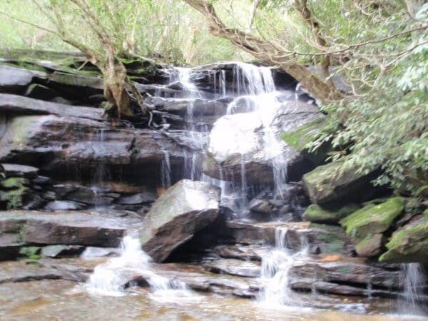 Somersby mooney mooney creek loop 600x450