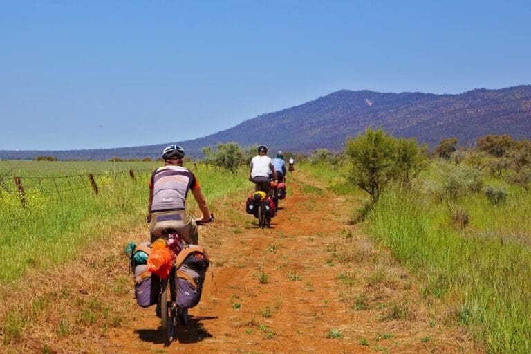 Southern flinders rail trail 1 768x512