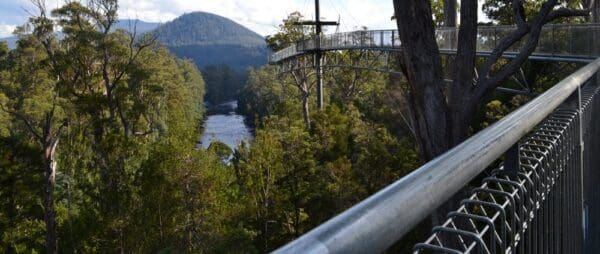 Russell Falls Track (1.6Kmm) Tahune airwalk trail hiking australia 600x254