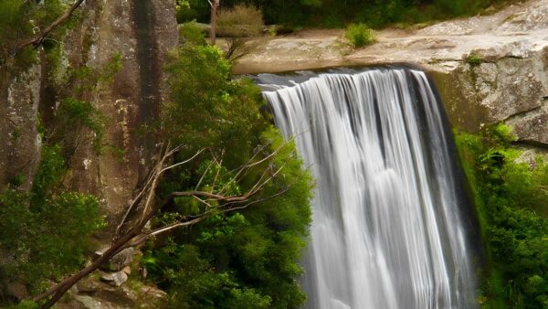 Belmore Falls Walking Track (1.8km) Belmore falls walking track (1. 8km)