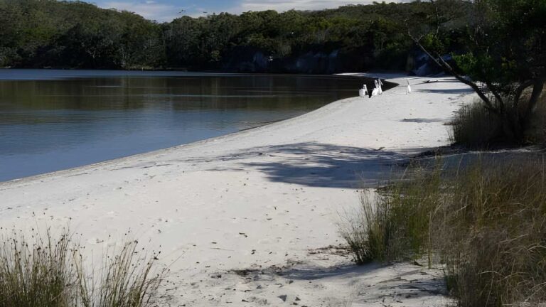 Coalmine Beach Heritage Trail Walk (6km) Coalmine beach heritage trail walk (6km)