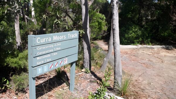 Curra moors loop track (10km)