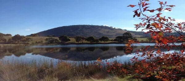 Enfield Bald Hills Loop Hike (15.5km) Jackreserve 600x262
