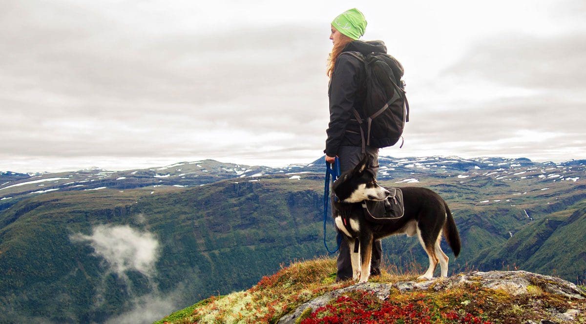 Hiking With Your Dog