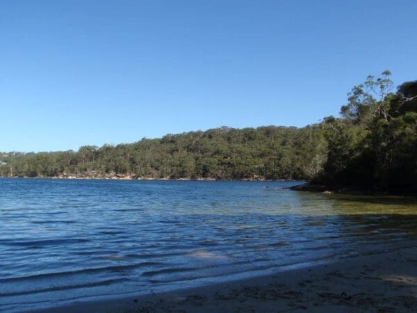 Flat rock beach track 600x450