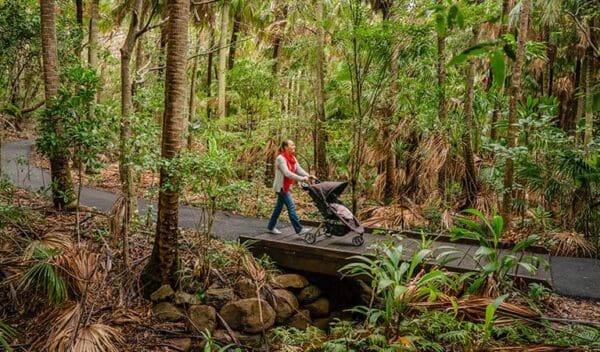 Palm valley currenbah walking track trail hiking australia 600x352