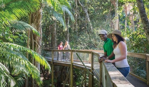 Hikes Sea acres rainforest boardwalk trail hiking australia 600x352