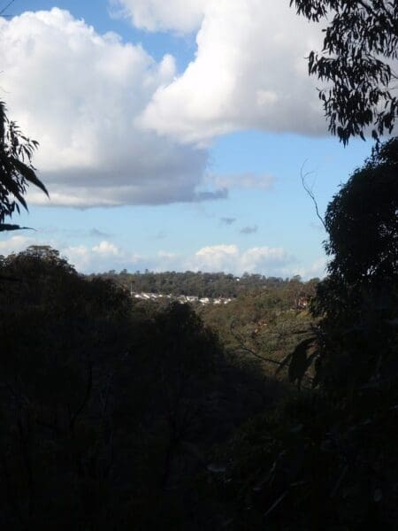 Day Hikes Australia Springwood to blaxland station 1 450x600