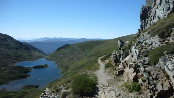 Main range track: charlotte pass - mt townsend (27. 7km)
