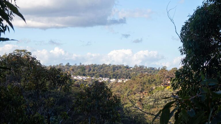 Springwood to blaxland station hike (13. 5km)