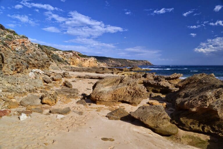 Trail hiking bushrangers bay and gunnamatta 15 7km 768x512