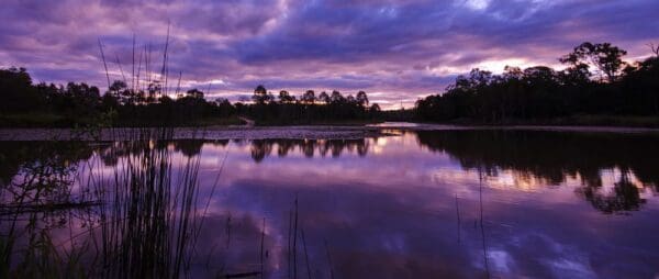 Hikes Billabong outlook circuit berrinba wetlands 600x254