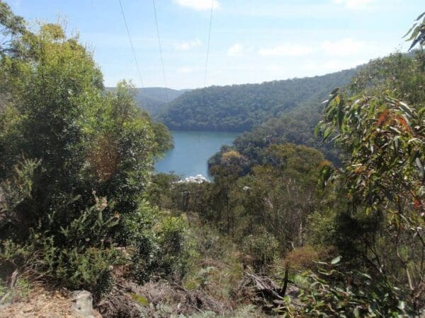 Hikes Bobbin head track 600x450