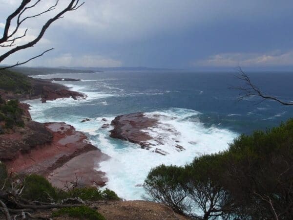 Boyd tower to mowarry point lookout 600x450