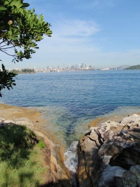 Hermitage foreshore track 450x600