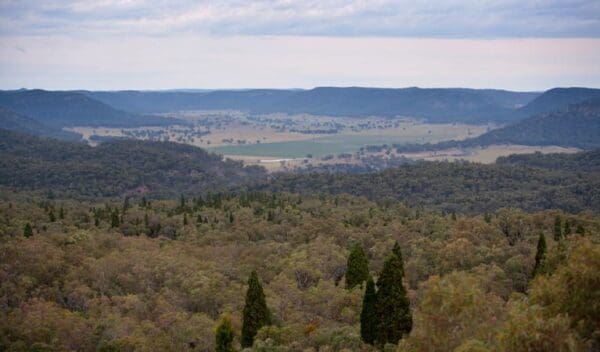 Hikes Lees pinch lookout walking track trail hiking australia 600x352