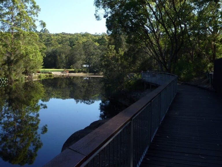 North Ryde Fairyland Circuit Hike (6.9km) North ryde fairyland circuit 768x576