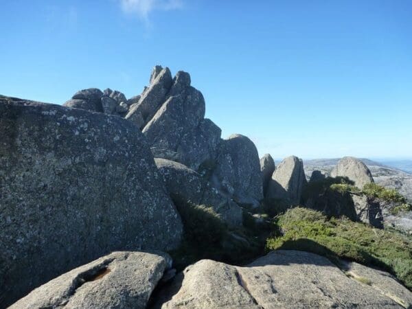 Porcupine walk 600x450