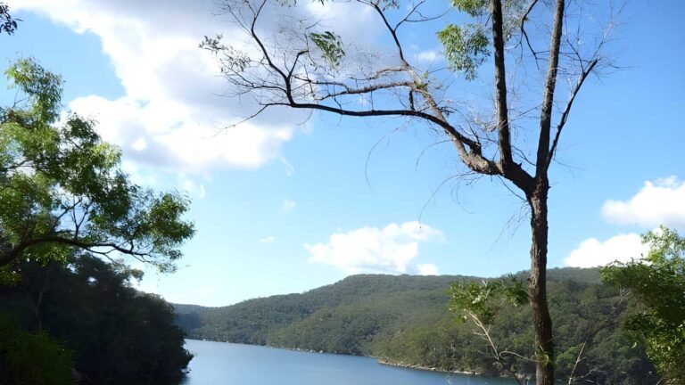 Berowra to bobbin head hike (8. 7km)