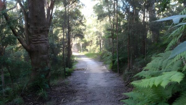 Blackwattle Trail Walk (2.2km) Blackwattle trail walk (2. 2km)