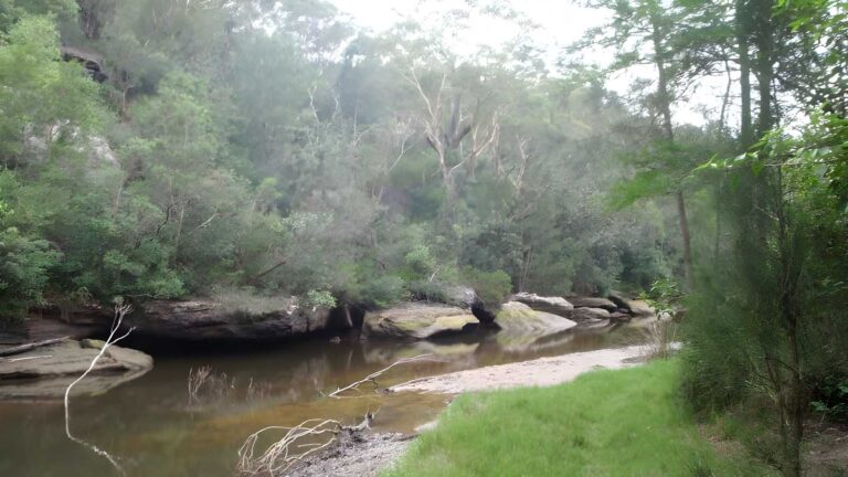 Bungaroo & Founders Way Loop Walk (3.5km) Bungaroo & founders way loop walk (3. 5km)