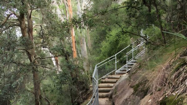 Caleys Lookout Track Walk (1.2km) Caleys lookout track walk (1. 2km)