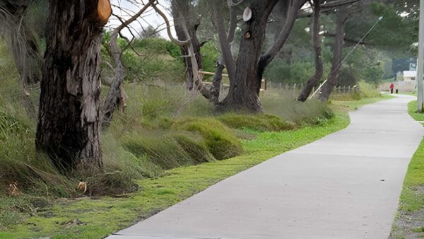 Clarence foreshore trail: bellerive beach to howrah walk (3. 1km)
