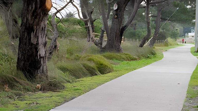 Clarence foreshore trail: bellerive beach to howrah walk (3. 1km)