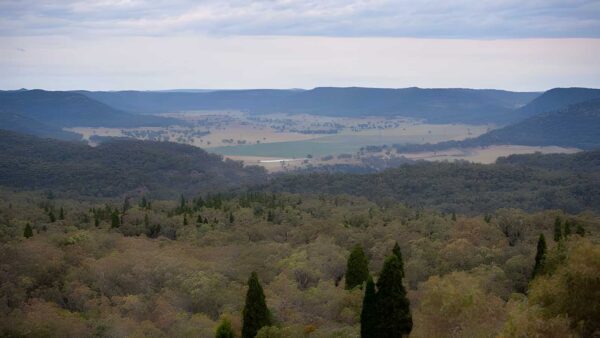 Lees Pinch Lookout Walking Track (1km) Lees pinch lookout walking track (1km)