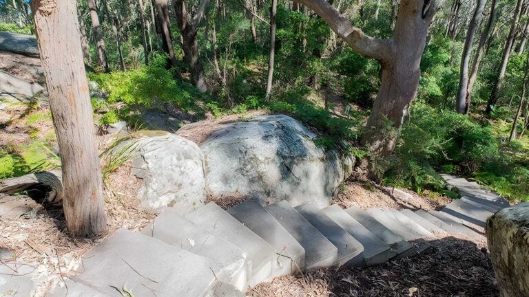 Mount Bouddi Walking Track (2.4km) Mount bouddi walking track (2. 4km)