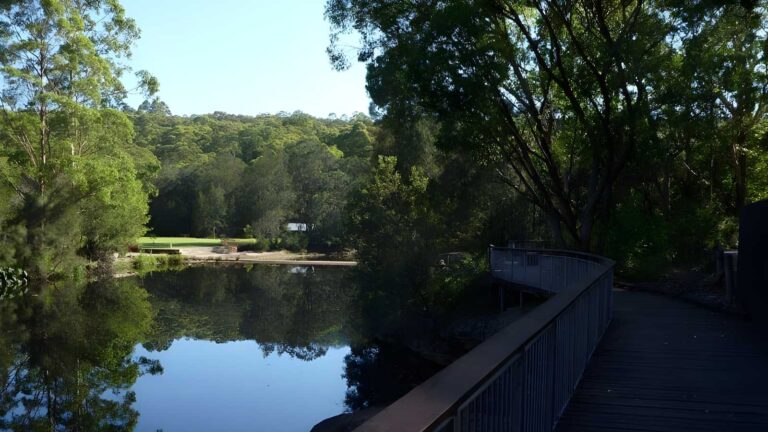 North ryde fairyland circuit hike (6. 9km)