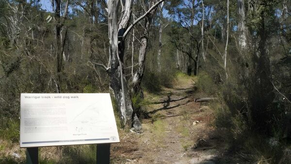 Warrigal Walking Track (1km) Warrigal walking track (1km)