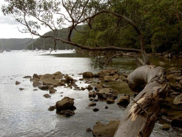 Hikes America bay track to beach 600x450