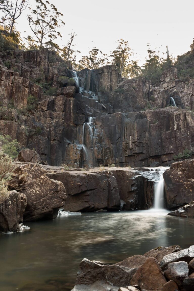 Hardings Falls Walk (1km) Hardings falls scaled 768x1152
