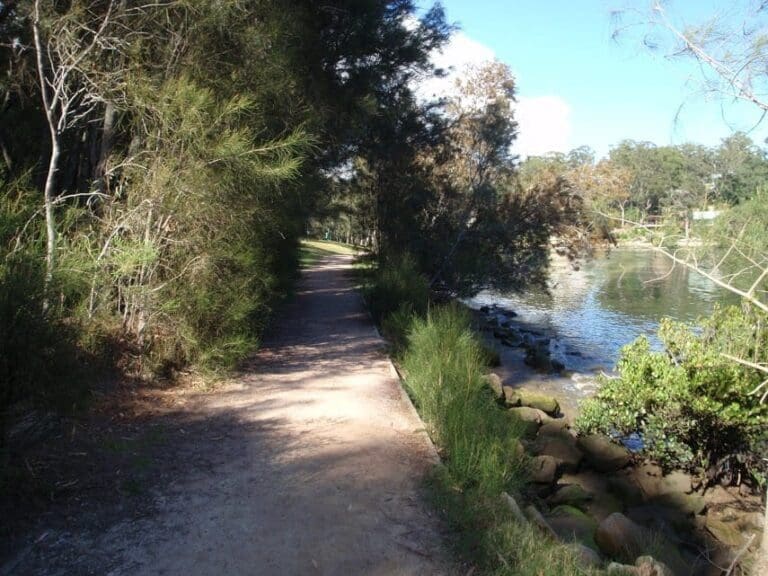 Lambeth Reserve to Picnic Point Walk (1.3km) Lambeth reserve to picnic point 768x576