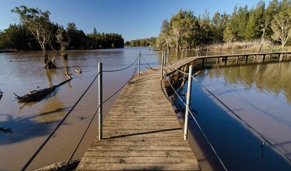 Longneck lagoon walking track trail hiking australia 600x352