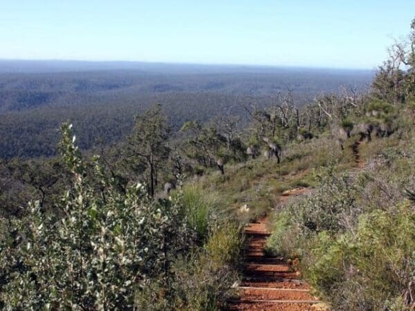 Hikes Mt dale circuit 600x450