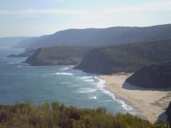 The coast track 600x450