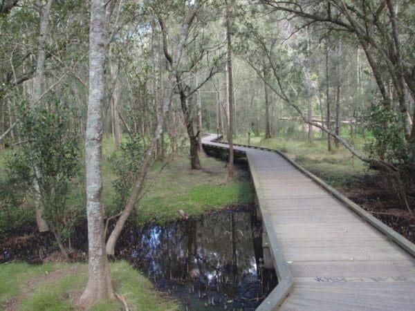 Thornleigh to mt kuring gai 600x450