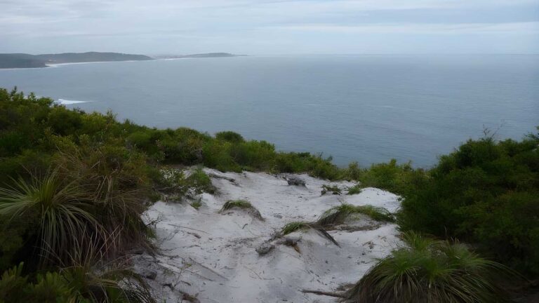Awabakal viewpoint walk (900m)