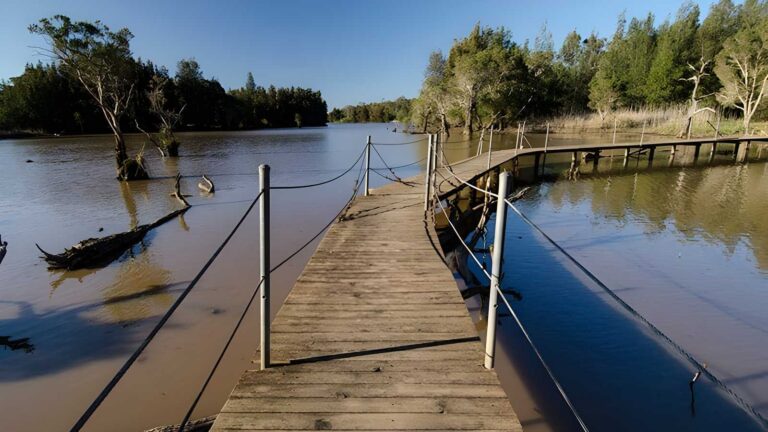 Longneck Lagoon Walking Track (4km) Longneck lagoon walking track (4km)